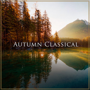 Wiener Mozart Ensemble&Willi Boskovsky - No. 2 in A