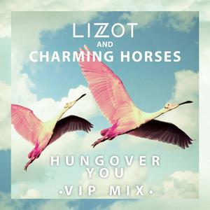 LIZOT&Charming Horses《Hungover You(VIP Mix Edit)》[MP3_LRC]