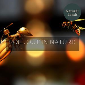 Gleaming Nature Music Project - Devastating Fire Light