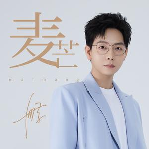 胡夏 - 麦芒