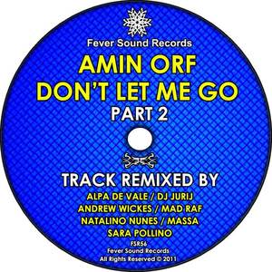 Amin Orf《Don't Let Me Go(Alpa De Vale Remix)》[MP3_LRC]