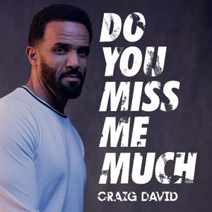 Craig David《Do You Miss Me Much》[MP3_LRC]