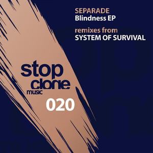 Separade&System Of Survival《Friends & Liars(System of Survival Remix)》[MP3_LRC]