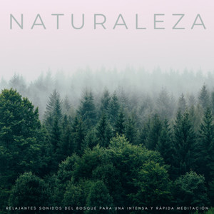 Meditación Tántrica ASMR&Música Inteligente&Meditación En El Balneario - Sonidos De Meditación