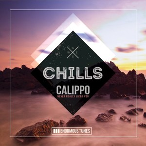 Calippo《Never Really Liked You(Original Club Mix)》[MP3_LRC]