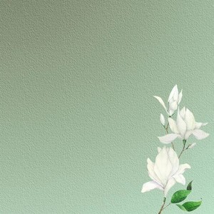 吴美琪 - 放松大脑舒缓压力 轻音乐钢琴曲