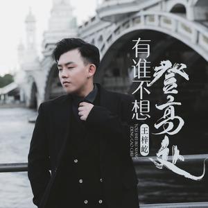 王梓屹《有谁不想登高处》[MP3_LRC]