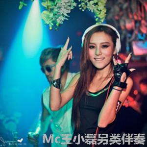 MC王小磊 - 命(伴奏版)