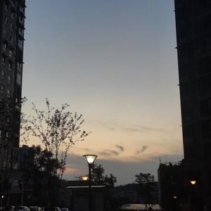 梁咏琪 - 短发