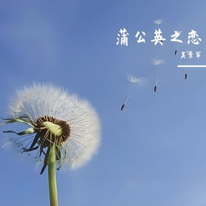 吴景军 - 蒲公英之恋