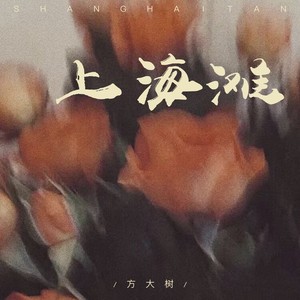 方大树 - 上海滩