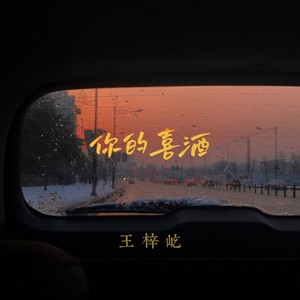 王梓屹《你的喜酒(DJ豪大大版伴奏)》[MP3_LRC]