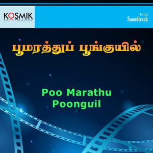 M. S. Viswanathan&Sirkazhi Govindarajan - Kaadu Vetti Pottu