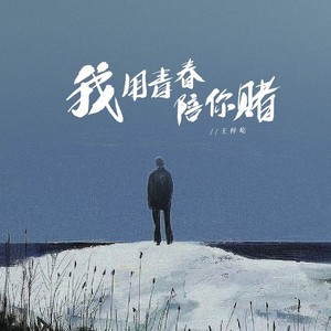 王梓屹《我用青春陪你赌》[MP3_LRC]