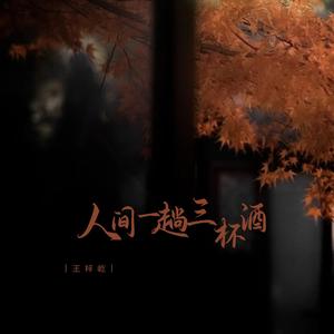 王梓屹《人间一趟三杯酒(伴奏)》[MP3_LRC]