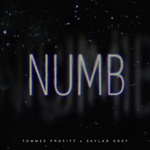 Tommee Profitt&Skylar Grey《Numb》[MP3_LRC]