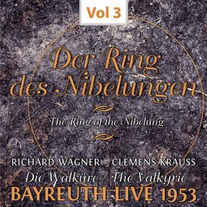 Clemens Krauss&Ramon Vinay&Josef Greindl&Regina Resnik《Die Walküre. 1. Aufzug. 2. Szene: Friedmund darf ich nicht heißen》[MP3_LRC]