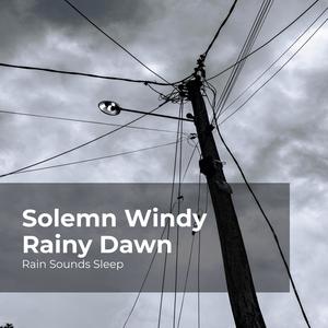 Rain Sounds Sleep&Rain Spa&Rain Sounds for Relaxation - Light Gentle Drizzles