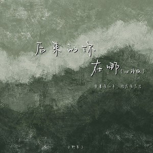 小野来了《后来的你在哪(心碎版)》[MP3_LRC]