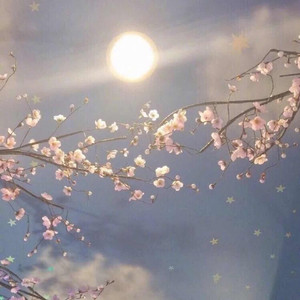 Xyisx - ❀