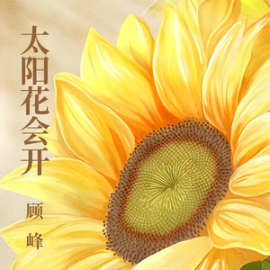 顾峰《太阳花会开》[MP3_LRC]