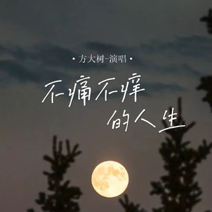 方大树 - 不痛不痒的人生