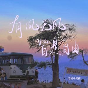 老胡子男孩《有风无风皆是自由(伴奏)》[MP3_LRC]