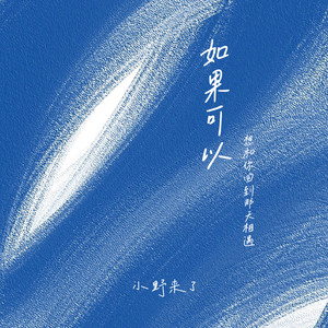 小野来了《如果可以 (想和你回到那天相遇)》[MP3_LRC]