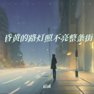 辰成 - 昏黄的路灯照不亮整条街