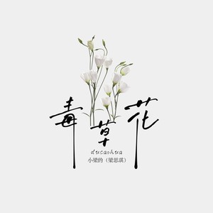 小梁的（梁思琪） - 毒草花DJ版