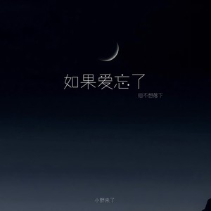 小野来了《如果爱忘了 (泪不想落下)》[MP3_LRC]