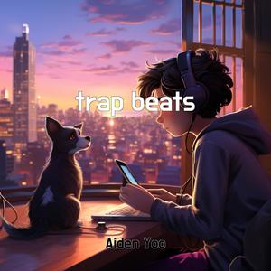 Aiden Yoo - trap beats