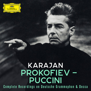 Mirella Freni&Luciano Pavarotti&Berliner Philharmoniker&Herbert von Karajan《Puccini: La bohème, Act IV: Sono andati?》[MP3_LRC]