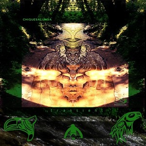 Transient - Birdsong
