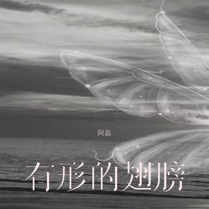 阿磊 - 有形的翅膀