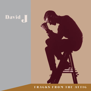 David J《All The Pilgrims》[MP3_LRC]