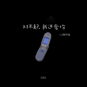 CR3. - 对不起，我还爱你