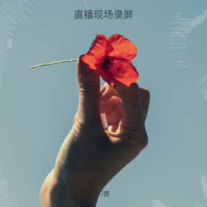 刀客 - 岁月无声 (cover: BEYOND)