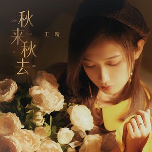 王晴 - 秋来秋去（又名：秋去秋来）