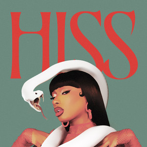 Megan Thee Stallion《HISS(Instrumental)》[MP3_LRC]