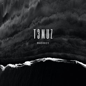 T3muz - Runner