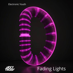 Electronic Youth《Fading Lights(Extended Mix)》[MP3_LRC]