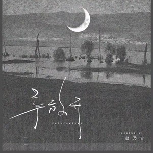 赵乃吉 - 手放开（DJ阿智版）