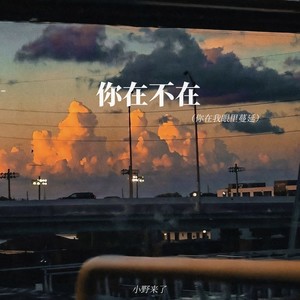 小野来了《你在不在 (你在我眼里蔓延)》[MP3_LRC]