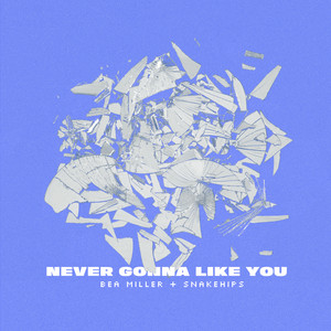 Bea Miller&Snakehips《NEVER GONNA LIKE YOU(Clean Version)》[MP3_LRC]