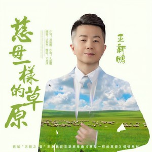 王新鹏 - 慈母一样的草原