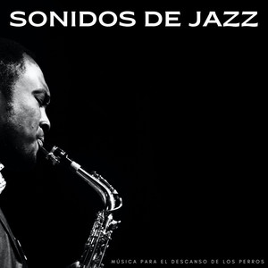 Jazz Chill Out Relajación&Canciones de jazz para perros&Música Pura Para Perros - En El Salón De Los Canes