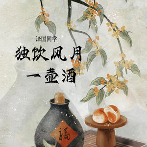 泽国同学 - 独饮风月一壶酒