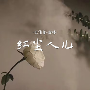 王佳音 - 红尘人儿