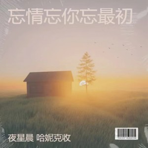 夜星晨&哈妮克收《忘情忘你忘最初(DJ默涵合唱版伴奏)》[MP3_LRC]